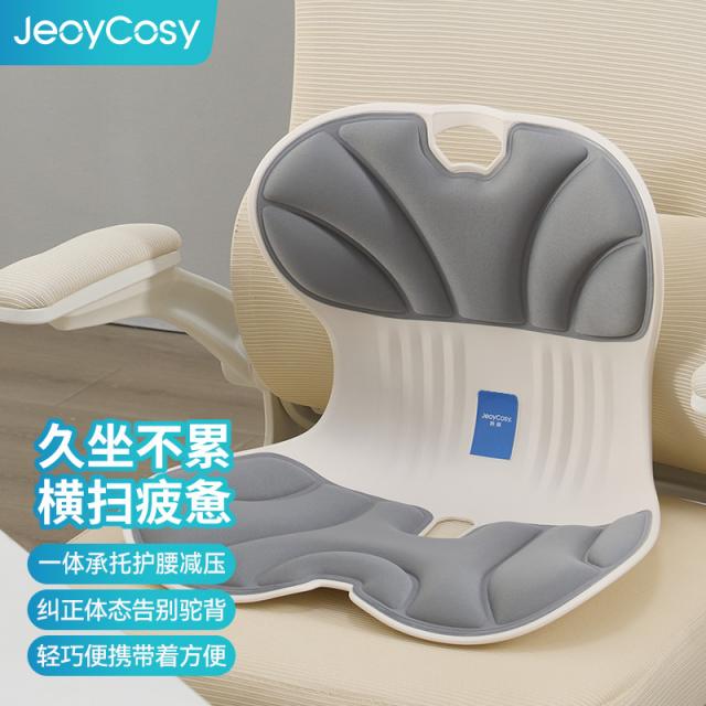 踐程護腰坐墊 SC02